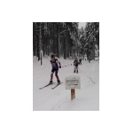 Masserberg Skirennsteiglauf 03.02.2019_15